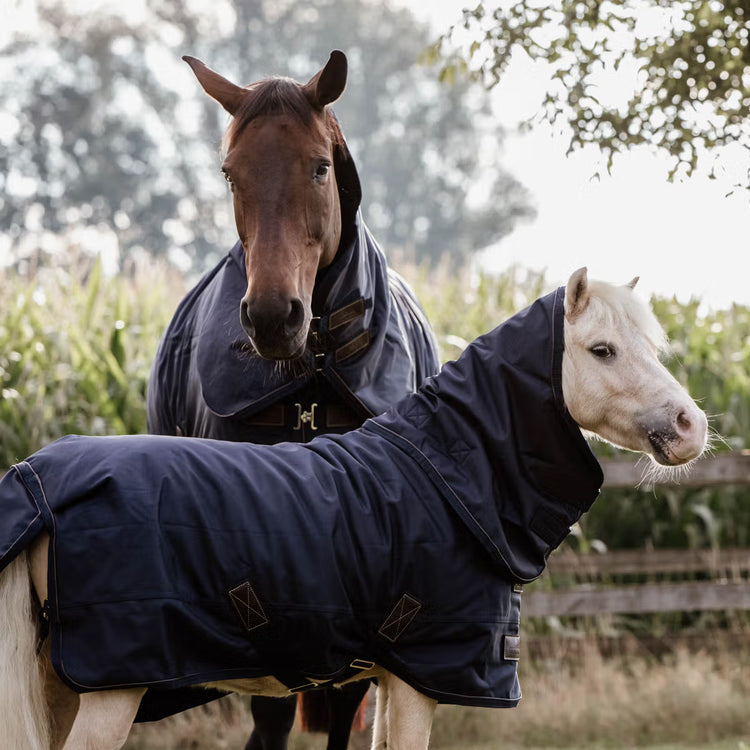 rain rug with neck 