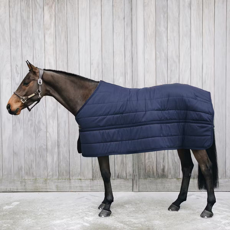 under rug kentucky