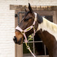 Kentucky Horsewear
Velvet Halter