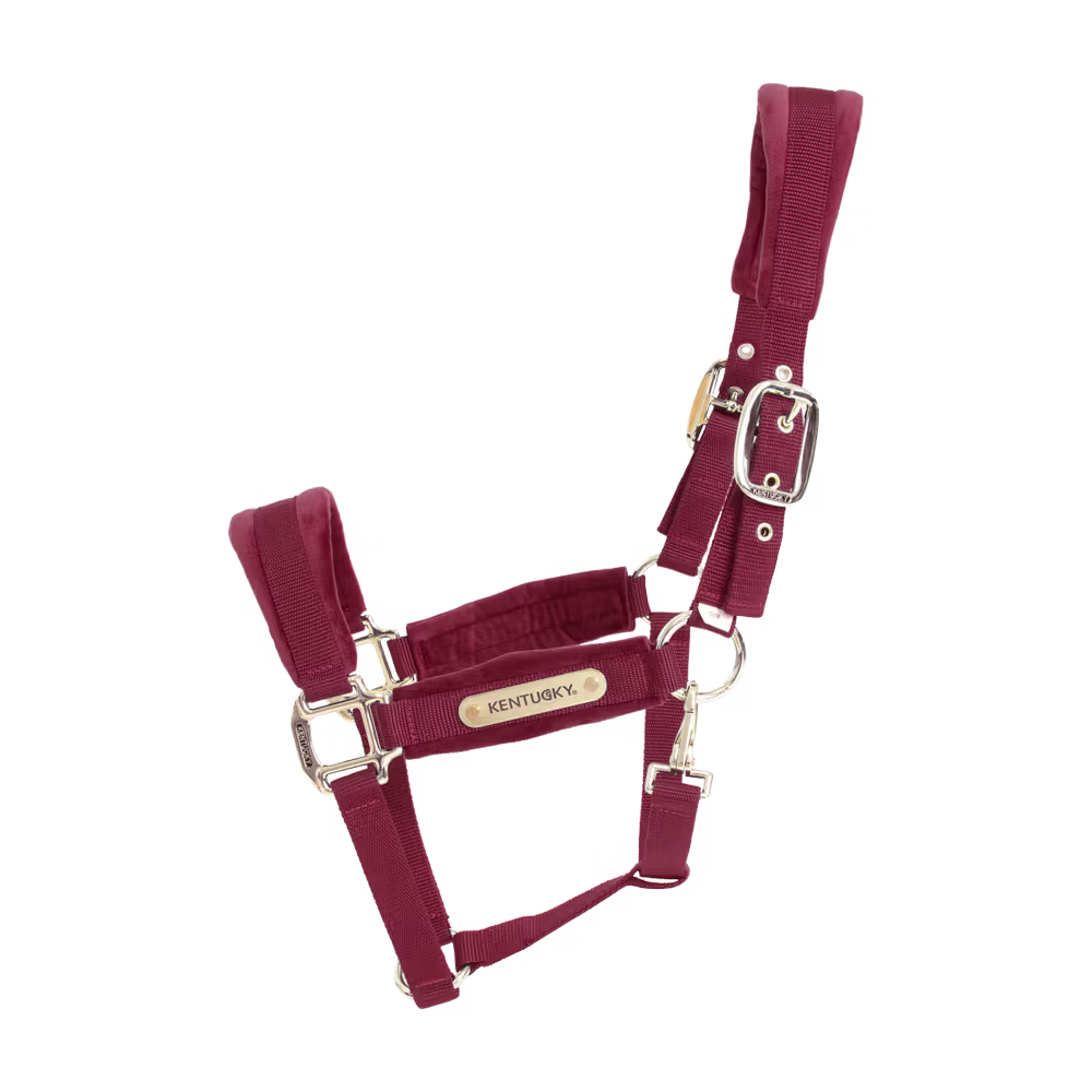Kentucky Horsewear
Velvet Halter Bordeaux