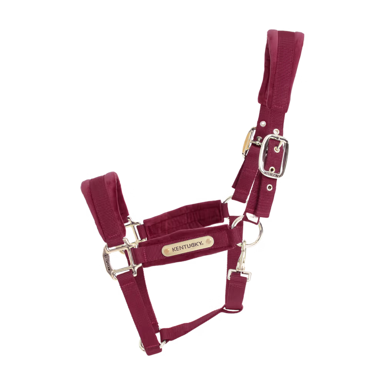 Kentucky Horsewear
Velvet Halter Bordeaux