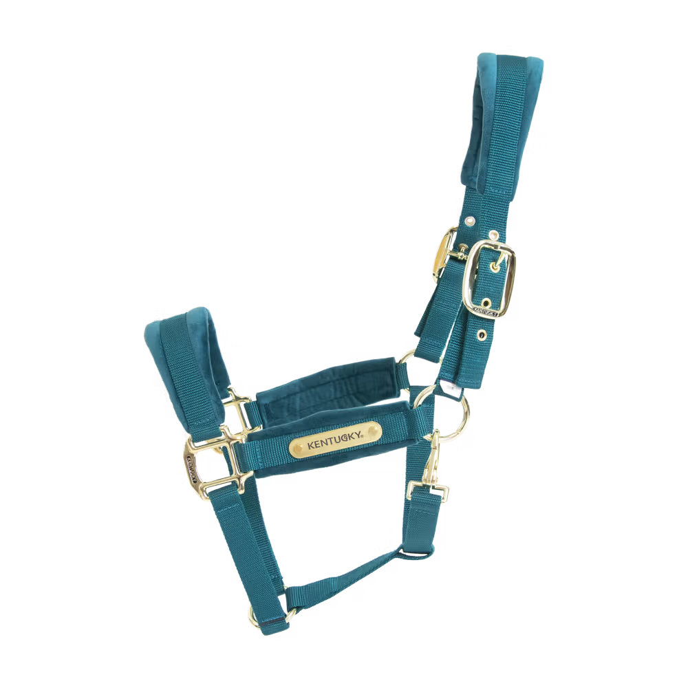 Kentucky Horsewear
Velvet Halter Emerald
