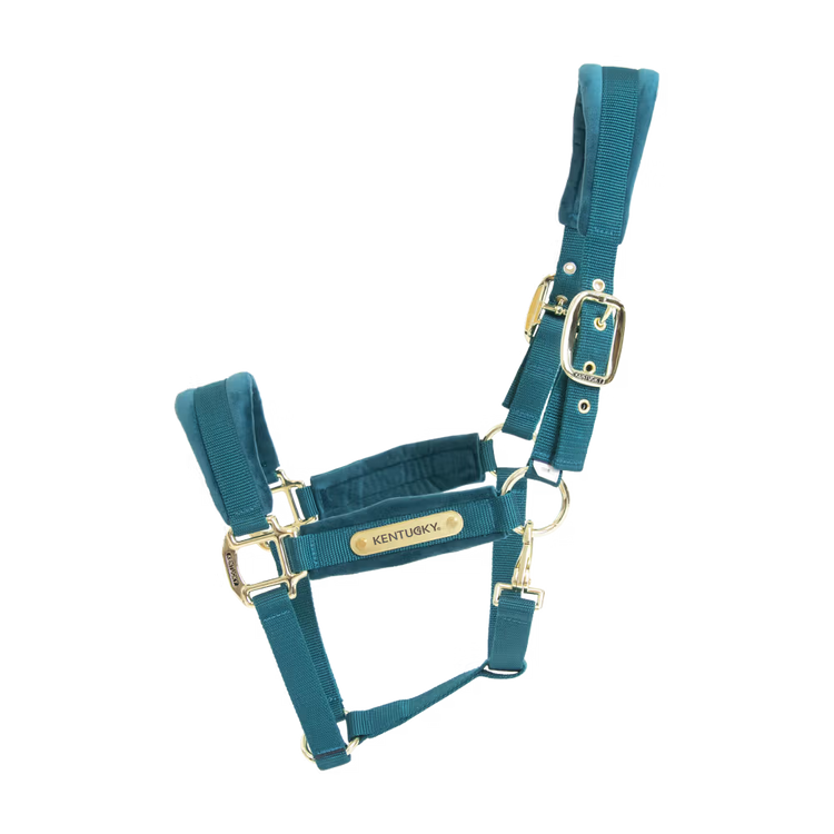 Kentucky Horsewear
Velvet Halter Emerald