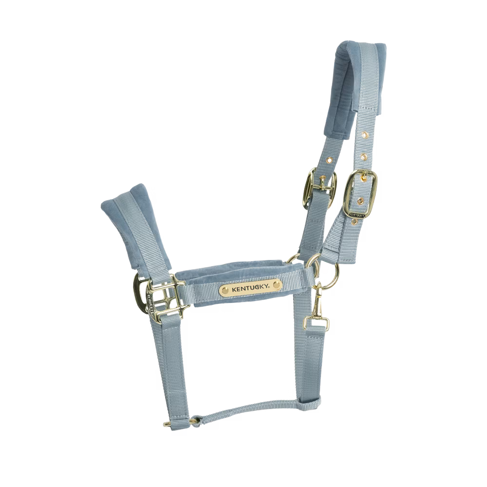 Kentucky Horsewear
Velvet Halter Light Blue