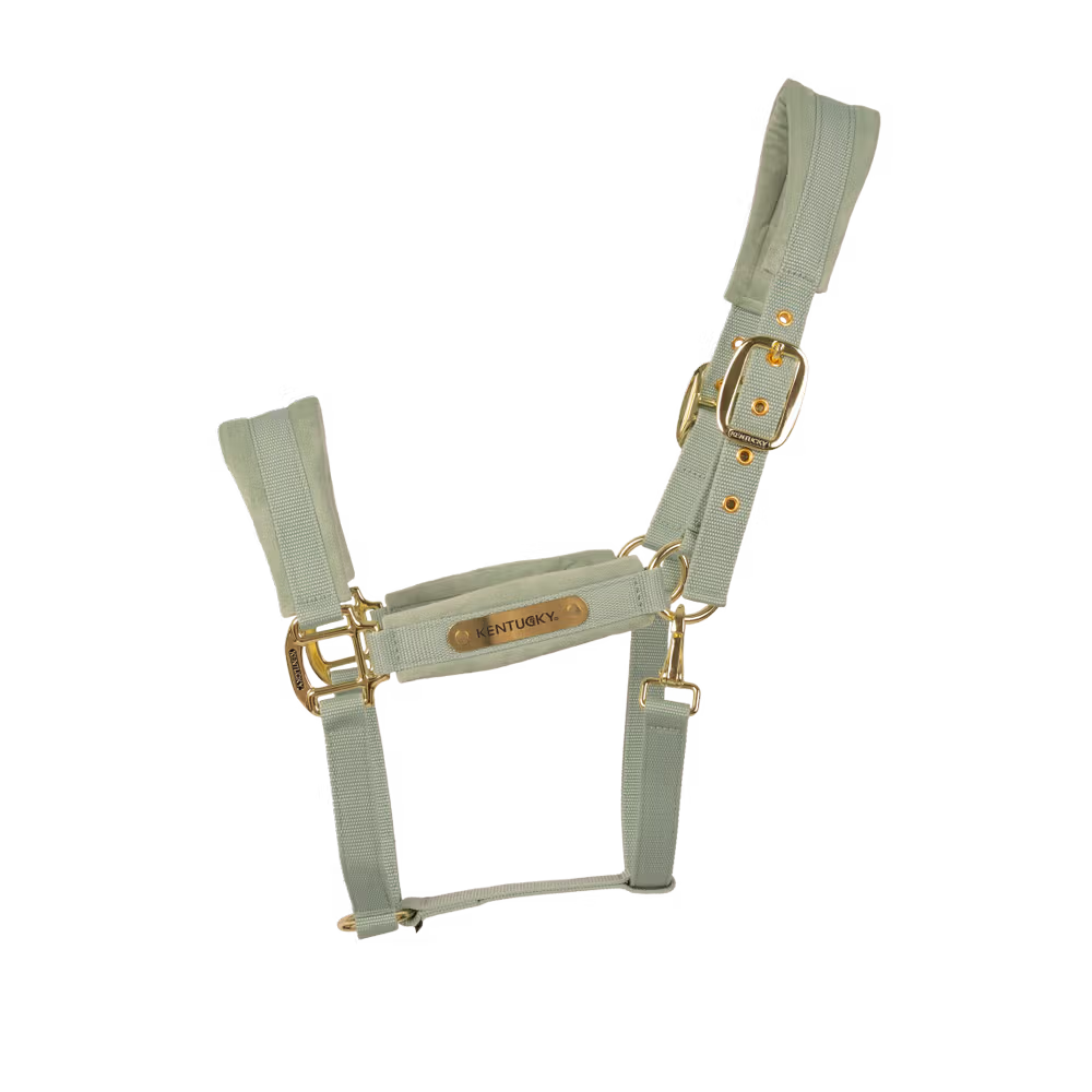 Kentucky Horsewear
Velvet Halter Mint