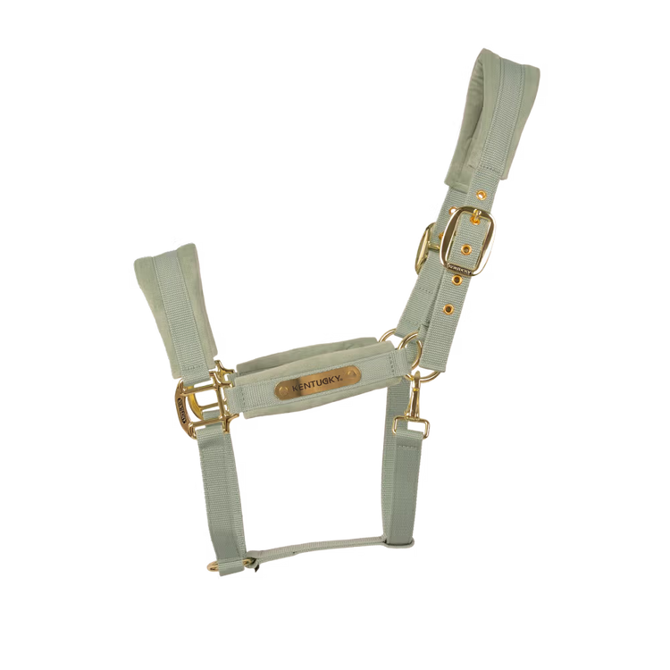 Kentucky Horsewear
Velvet Halter Mint