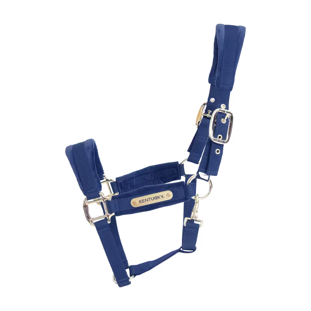 Kentucky Horsewear
Velvet Halter Navy