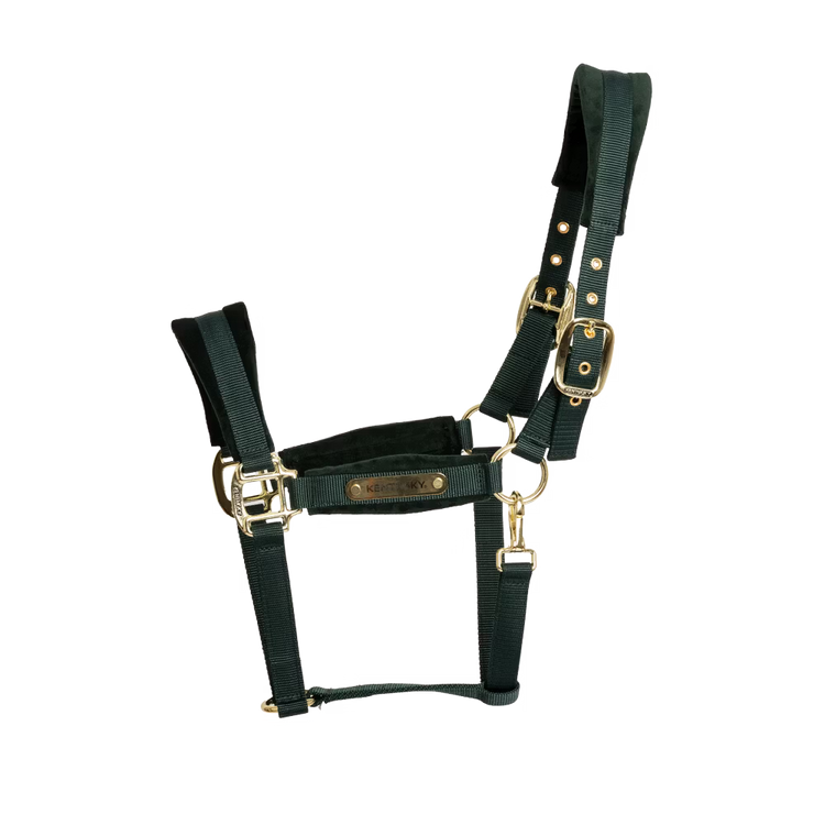 Kentucky Horsewear
Velvet Halter Pine Green