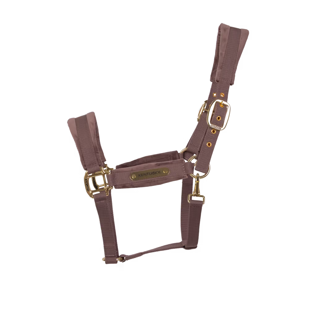 Kentucky Horsewear
Velvet Halter Purple