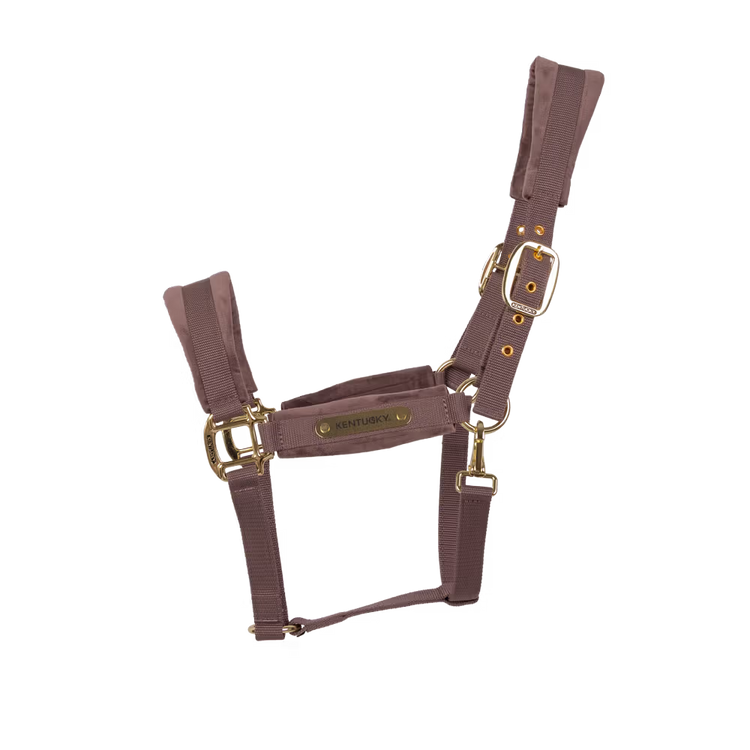 Kentucky Horsewear
Velvet Halter Purple