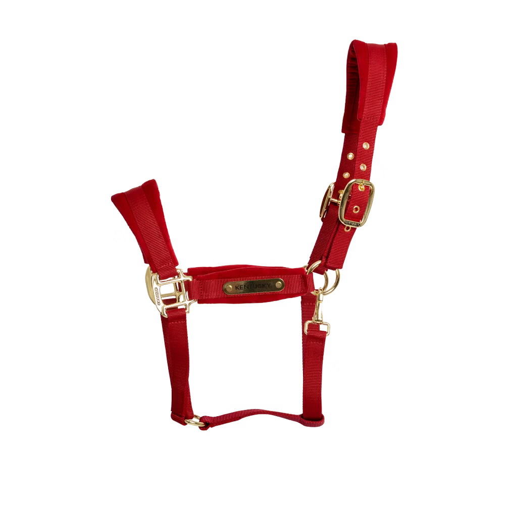 Kentucky Horsewear
Velvet Halter Red