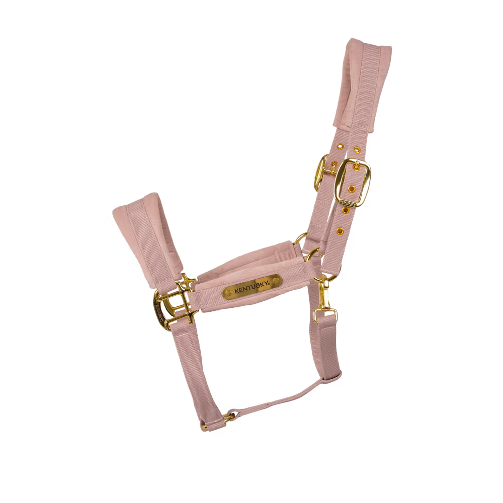 Kentucky Horsewear
Velvet Halter Rosa