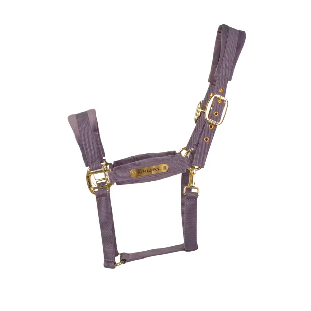 Kentucky Horsewear
Velvet Halter Violette