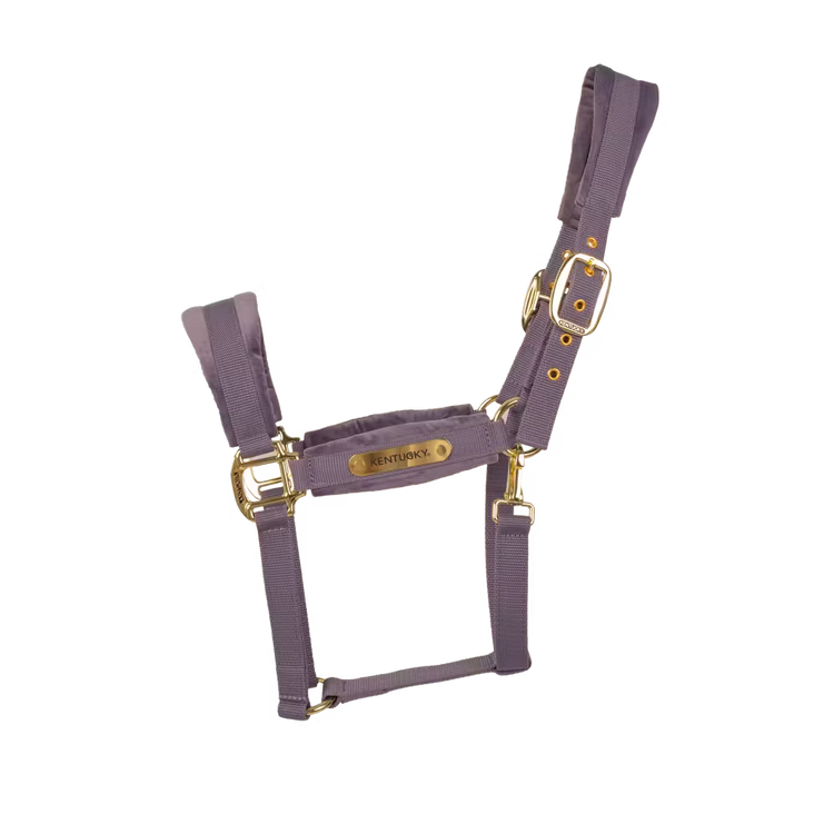 Kentucky Horsewear
Velvet Halter Violette