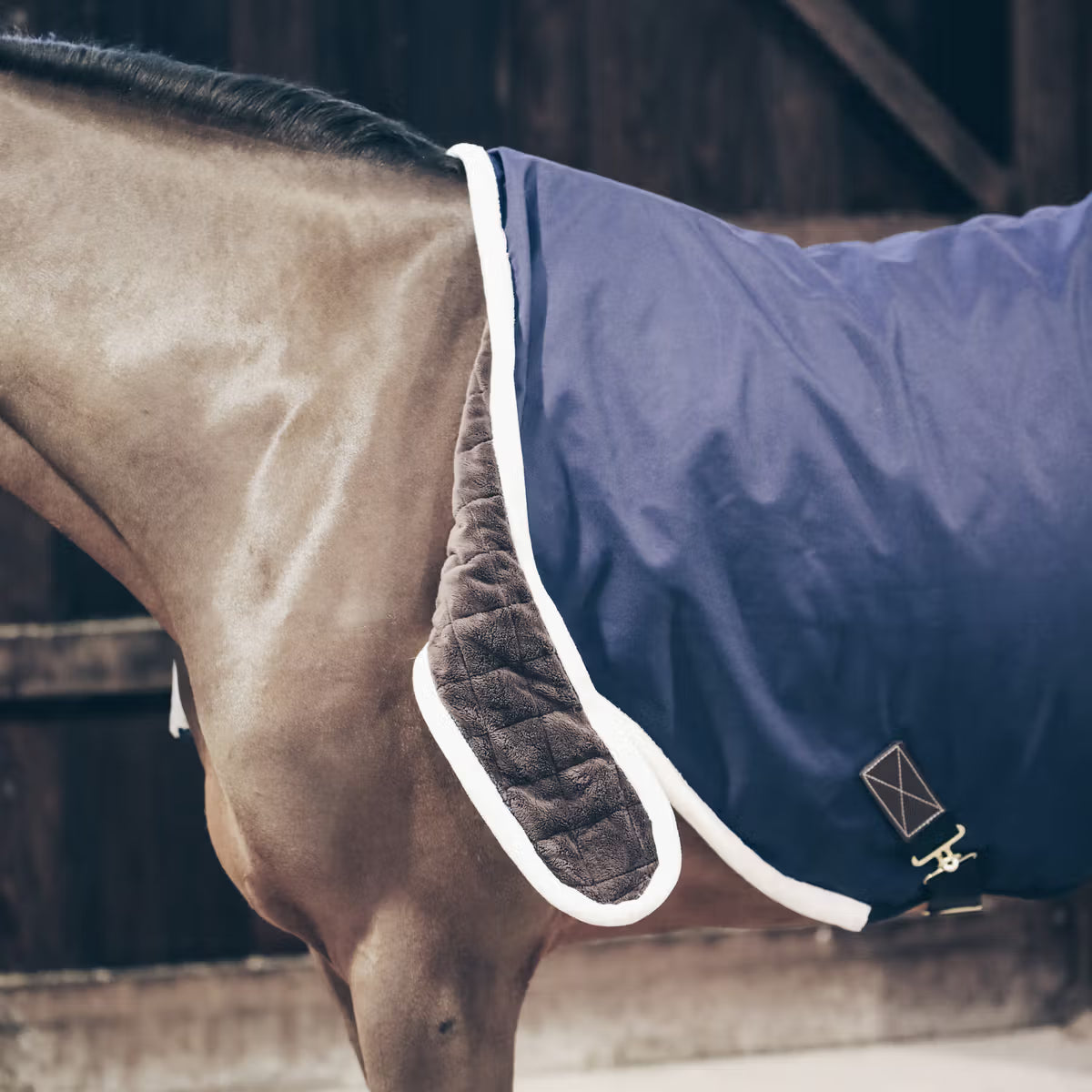 waterproof rug for horses