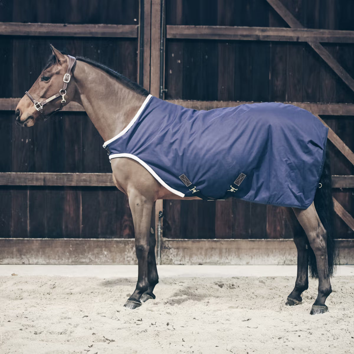 Kentucky Horsewear
Walker Rug Waterproof 160g