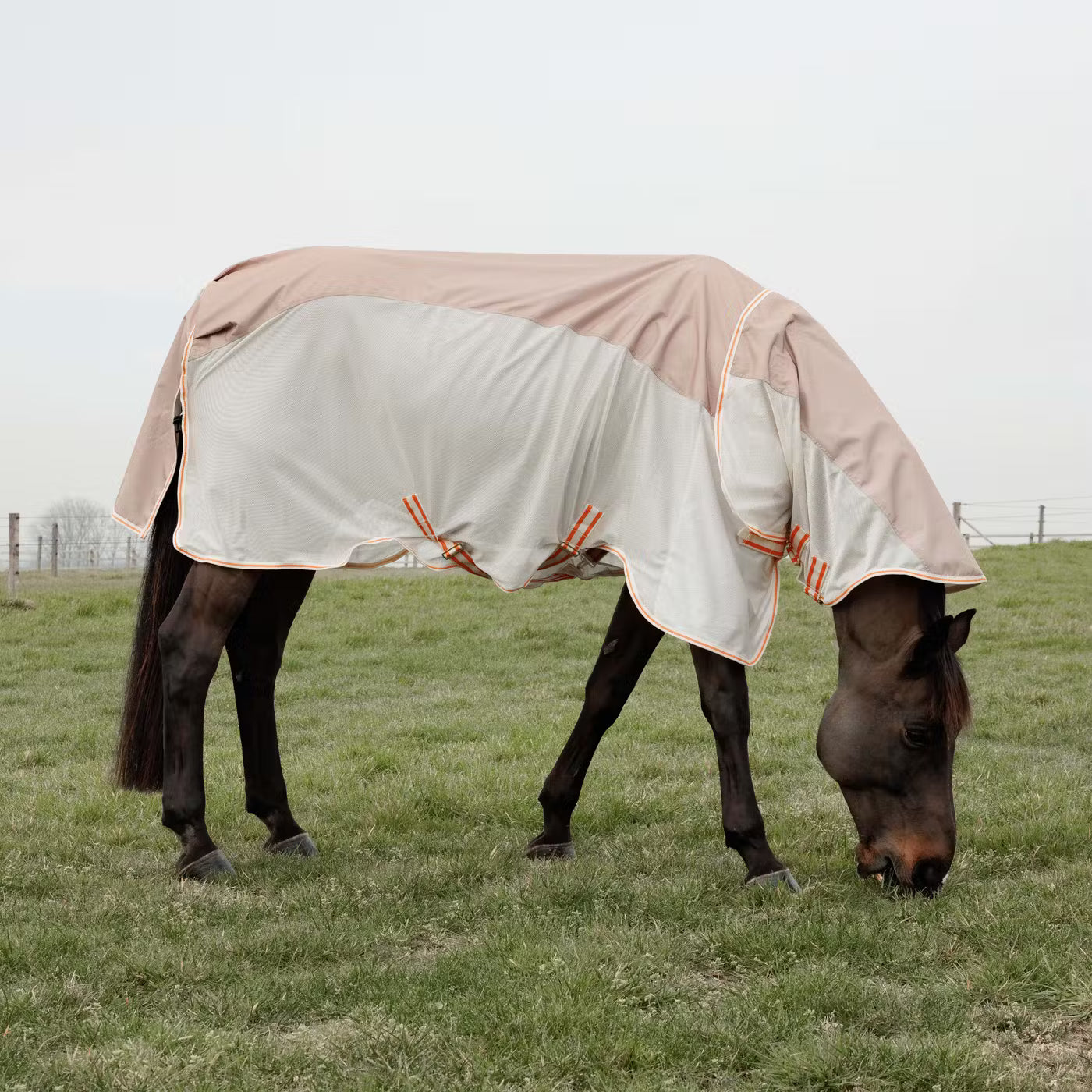 Kentucky Horsewear Waterproof Fly Rug
