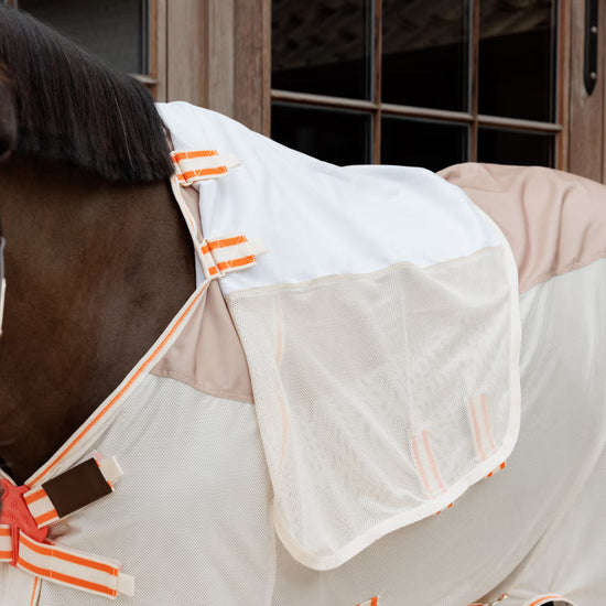 Waterproof horse fly blanket with removable neck rug
