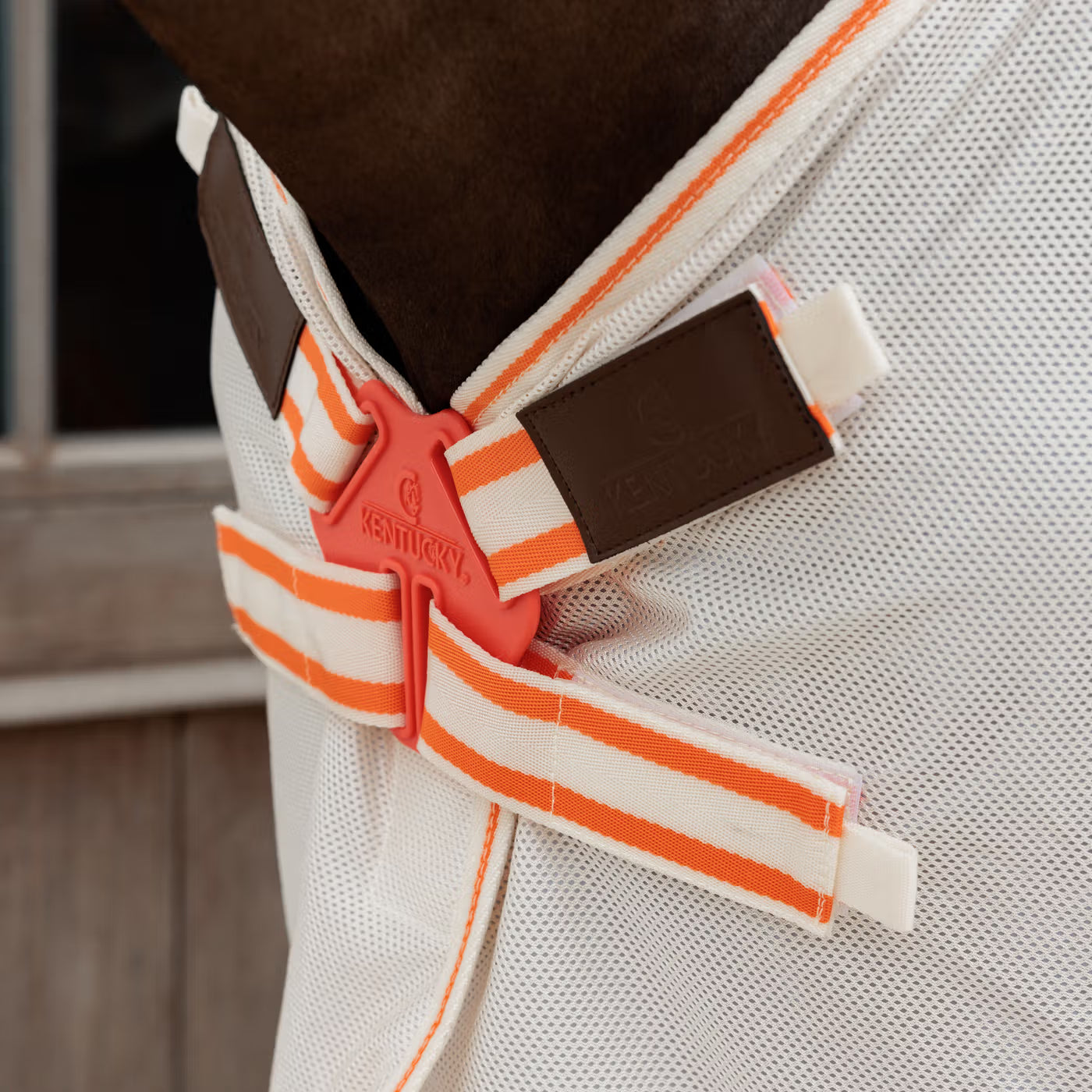 Best waterproof horse fly blanket for turnout