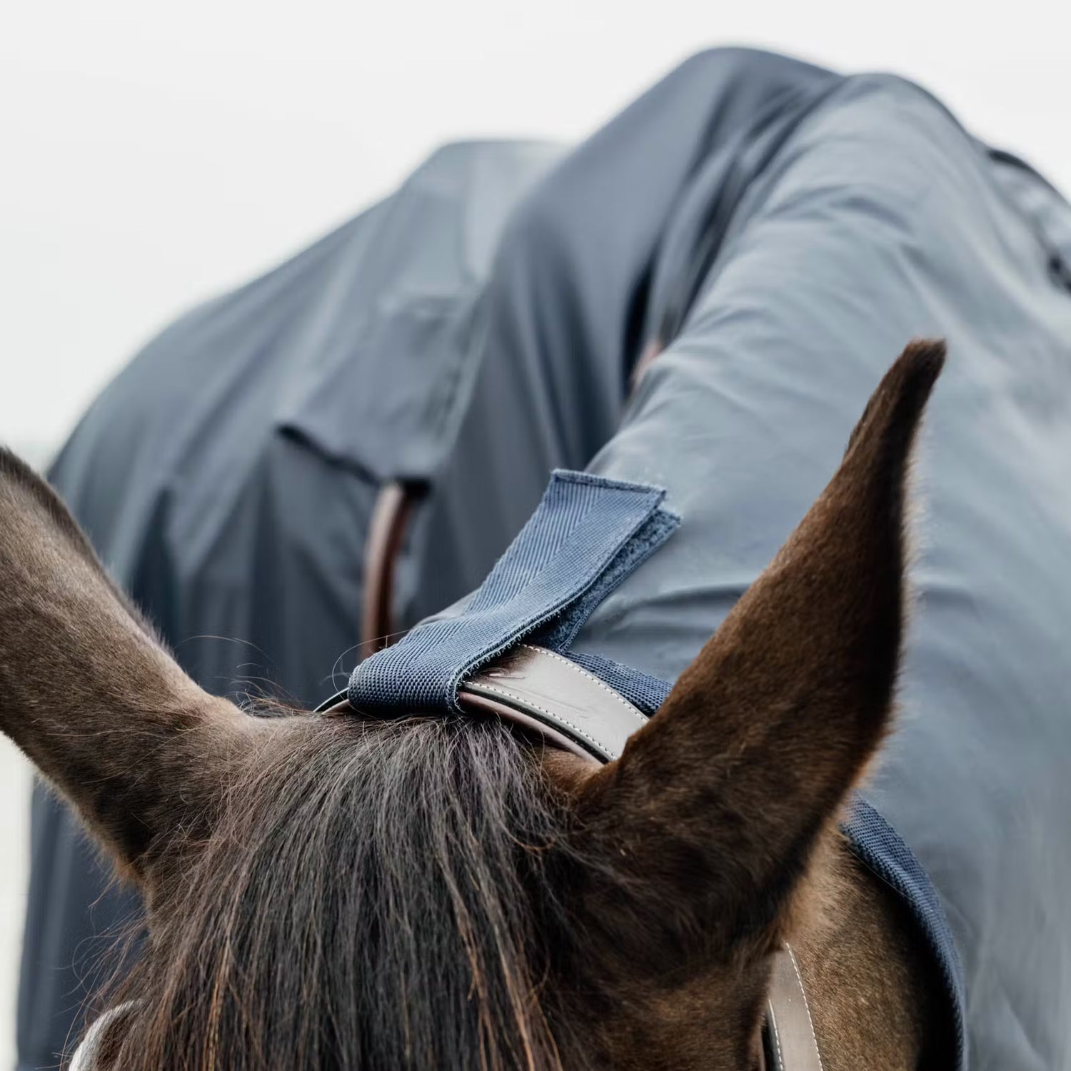 Kentucky Hurricane Rain Coat Close Up bridle attachment