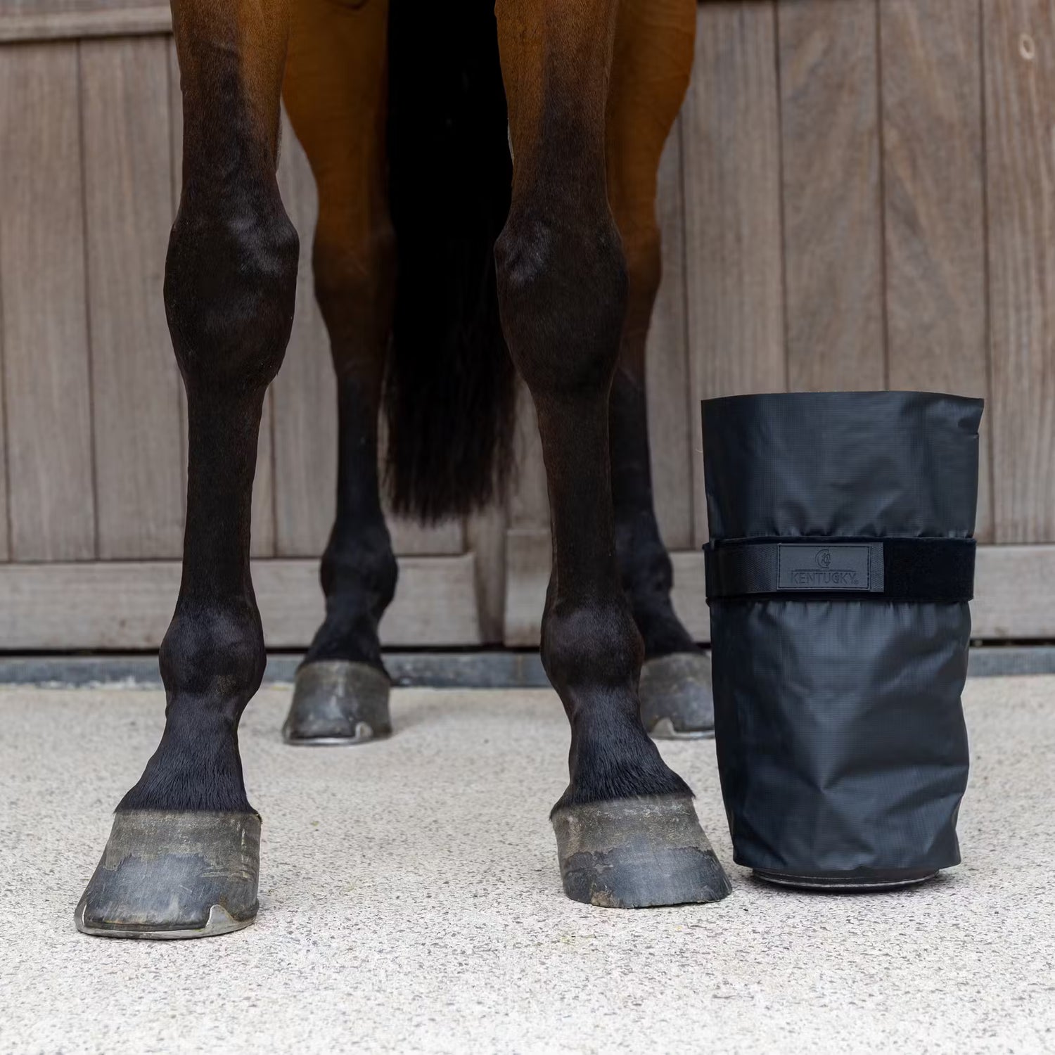 Boots for horses for filling with ice
