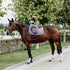 Kentucky Horsewear Velvet Set Purple