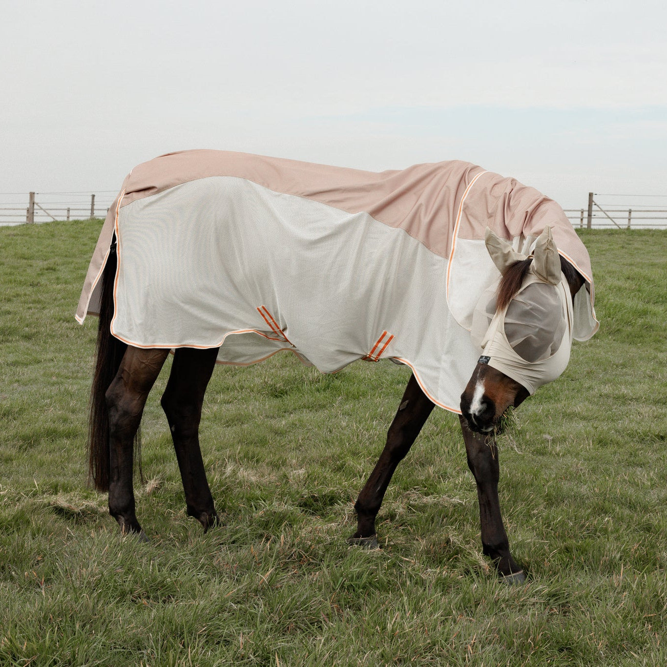 Best waterproof summer turnout rug