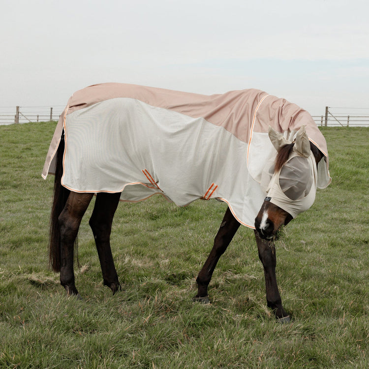 Best waterproof summer turnout rug