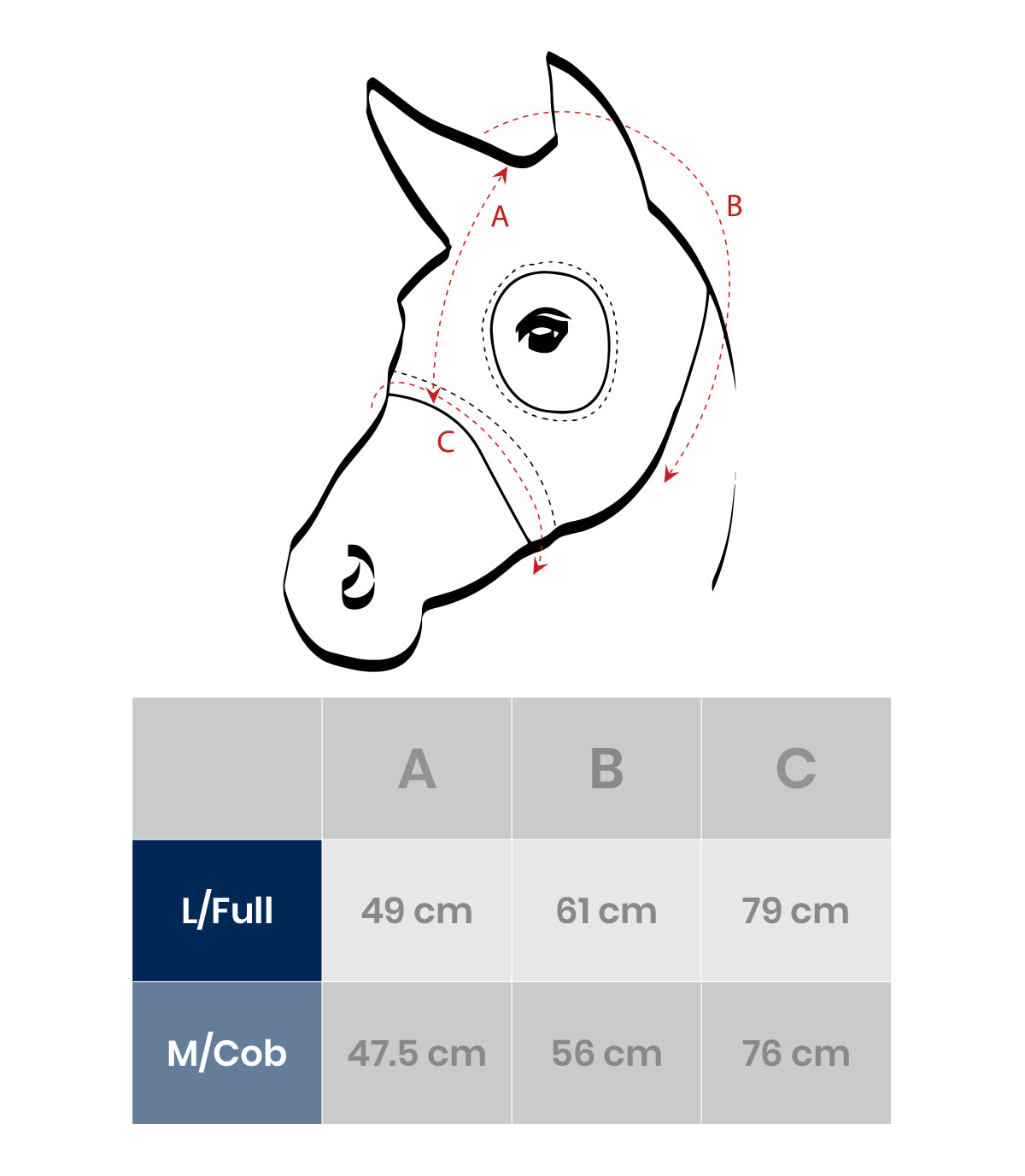 horse titanium mask size chart