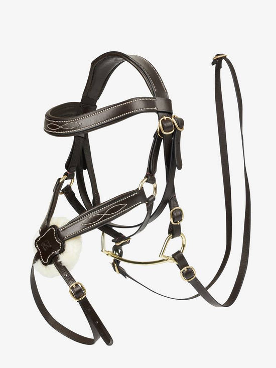 Bridle for hobby horse