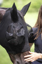 Horse fly mask with large eyes