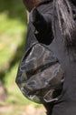 Best fly mask for horses with eye issues