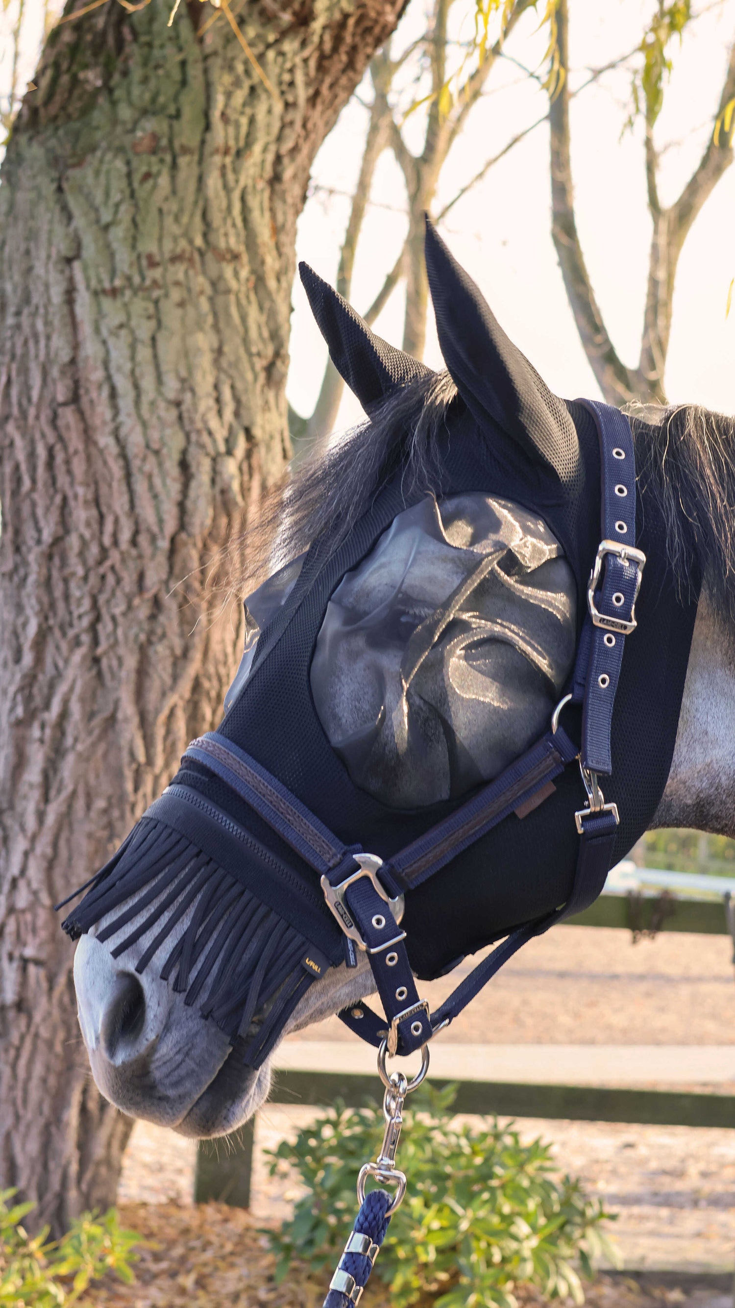 Horse wearing a fly mask with fringe nose protection