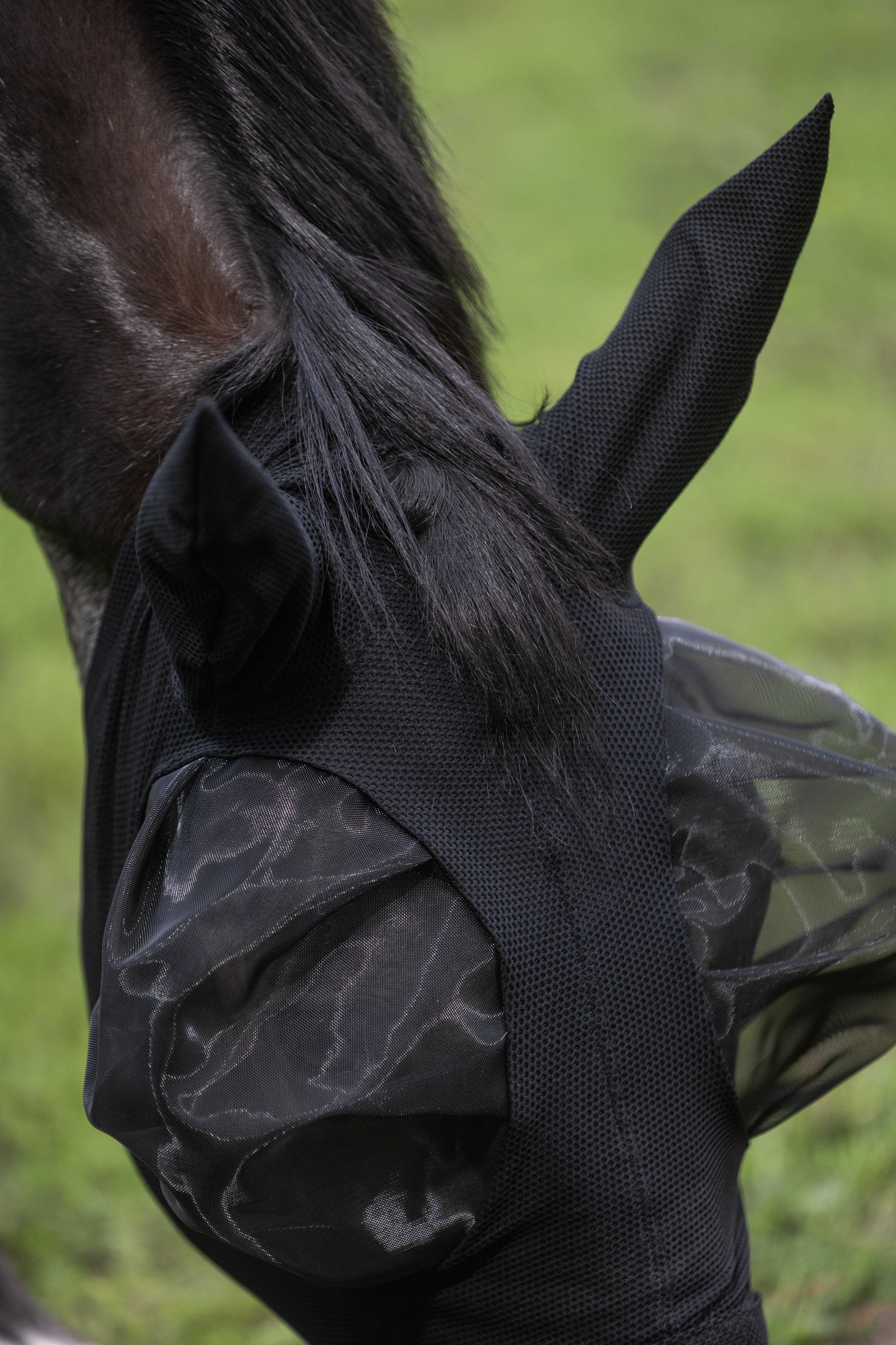 Lami cell fly mask with large eyes