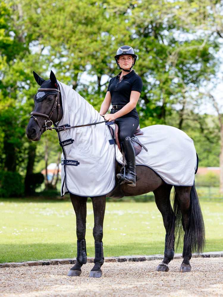 Best riding fly rug for horses