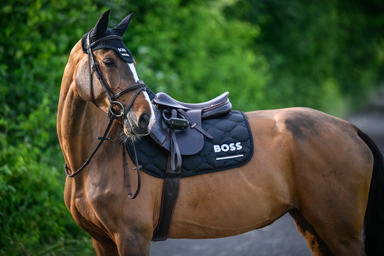 Black Boss Equestrian Collection for Horses