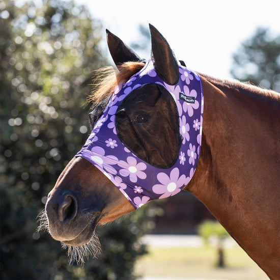 horse fly mask