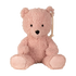 Pink Teddy Bear from Kentucky