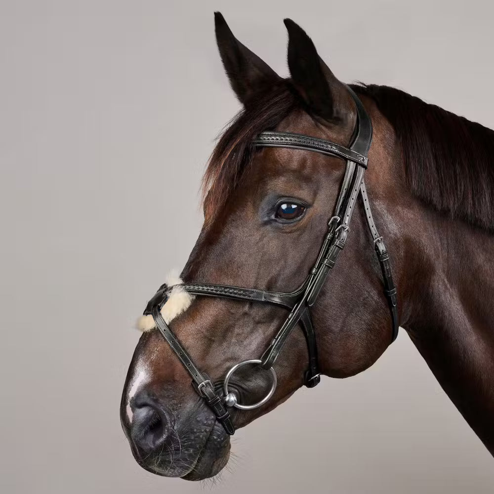 Plaited Figure 8 Noseband Bridle NE
