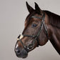 Plaited Figure 8 Noseband Bridle NE