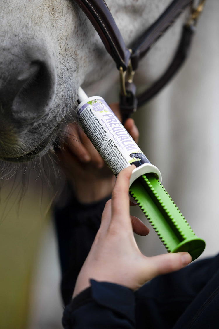 Calming paste for horses