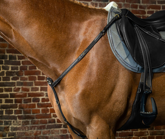 D Collection Breastplate