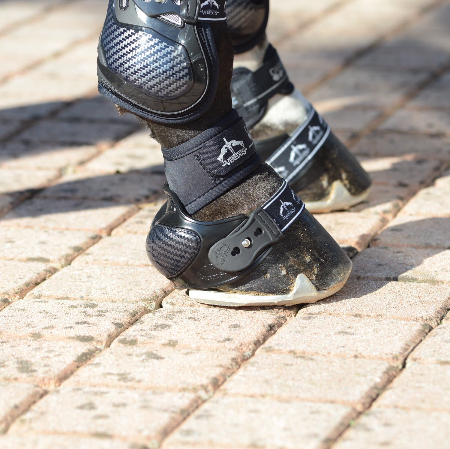 Hoof protection with double fastening system