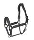 Anatomical leather halter designed for comfortable horse handling