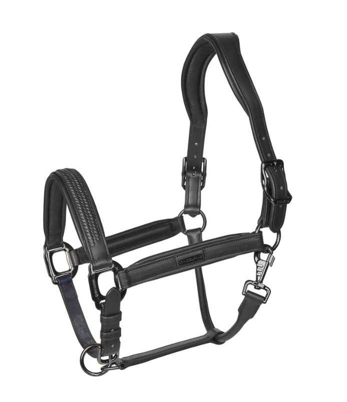 Anatomical leather halter designed for comfortable horse handling