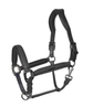 Anatomical leather halter designed for comfortable horse handling