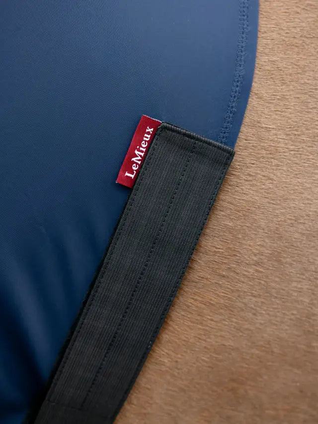 LeMieux chest guard against rug rubbing