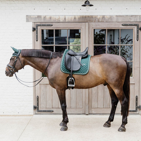 Dark Green matching set for horses