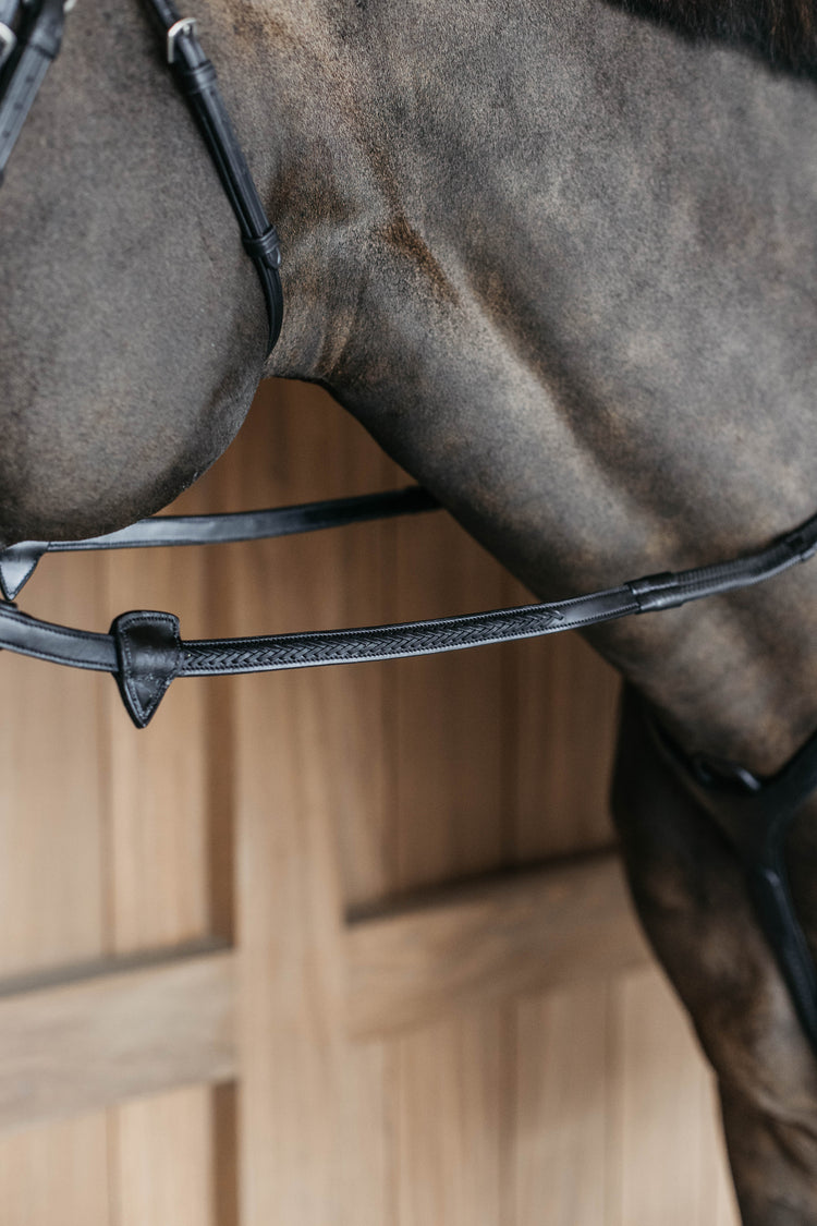Best reins for show jumping