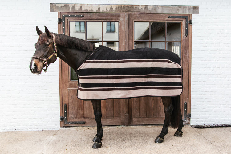 warm winter show rug for horses